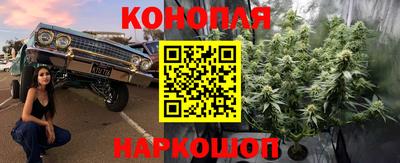 гидра Жуковский