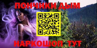 стаф Заводоуковск