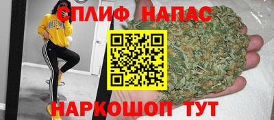 стаф Заводоуковск