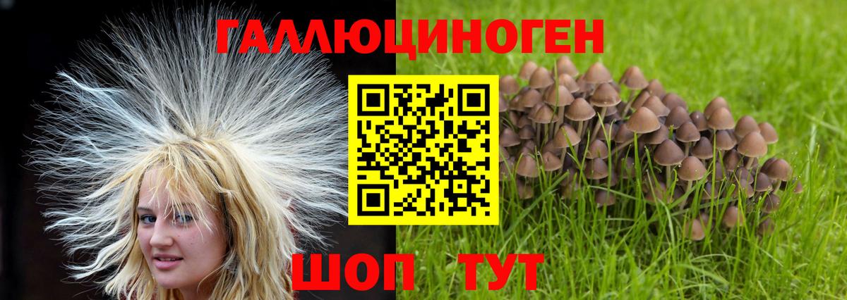 Псилоцибиновые грибы ЛСД Лесозаводск